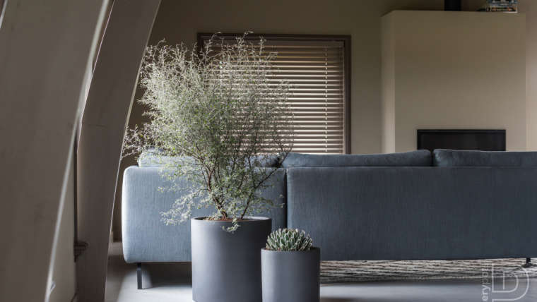 Indoor Schönhoff Gärten